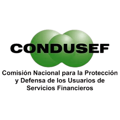 LOGO condusef original